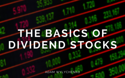 The Basics of Dividend Stocks